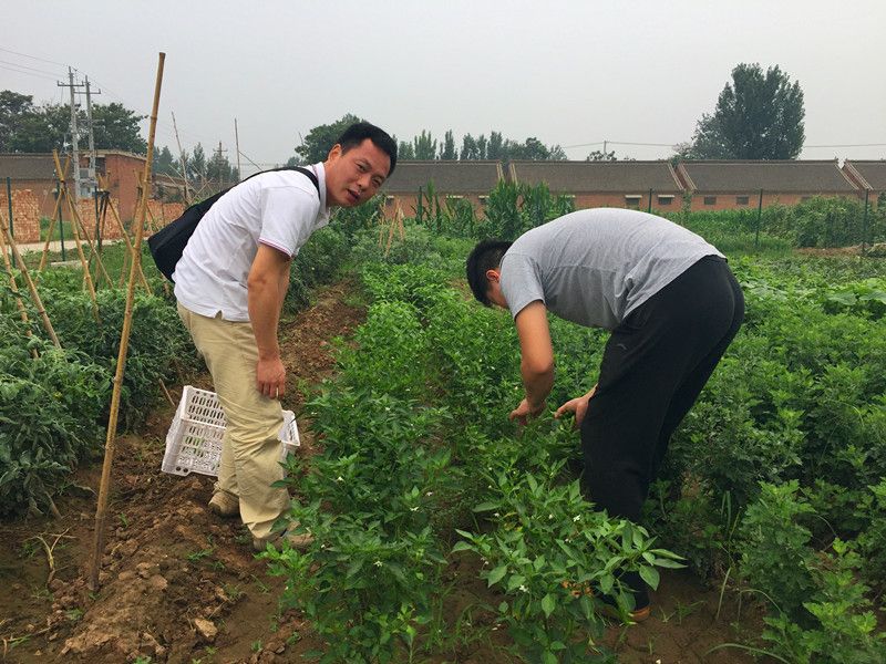好利來(lái)郭總喊您來(lái)摘菜啦！綠色無(wú)公害，放心！